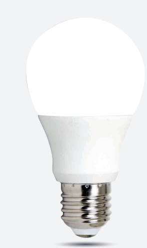 LED BULB